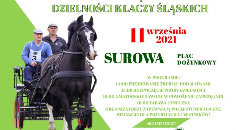 Polowa zaprzęgowa próba dzielności klaczy śląskich-Premiowanie źrebiąt 11.09.2021