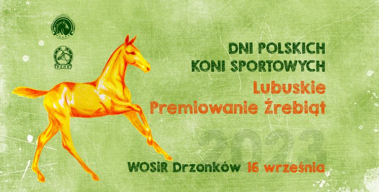 WYNIKI LUBUSKIE PREMIOWANIE ŹREBIĄT DRZONKÓW 16.09.2023 - przyznane premie