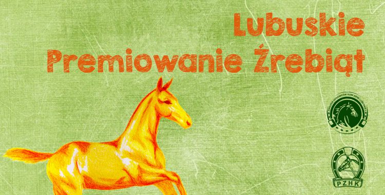 Dni Polskich Koni Sportowych -Lubuskie Premiowanie Źrebiąt