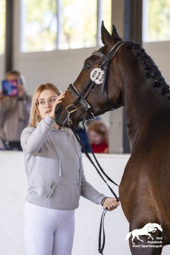 229A3243 — kopia