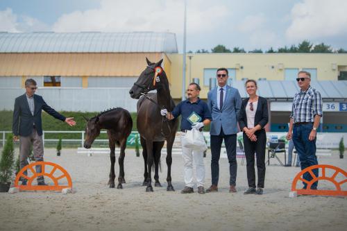 2024 Drzonków Lubuskie Premiowanie Źrebiąt