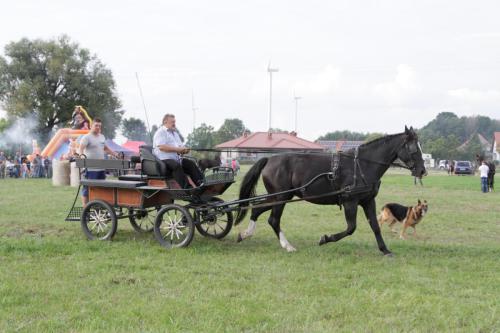 polowa-zaprzegowa-proba-dzielnosci-klaczy-slaskich-surowa-2021-098-RG-0530